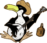 Banjo Player