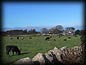 04h_rockfleet_demesne