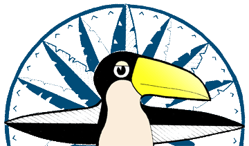 compass bird