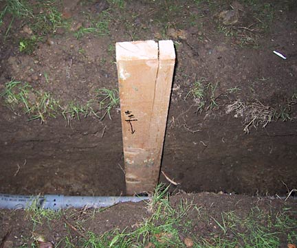 55_eighteen_inches