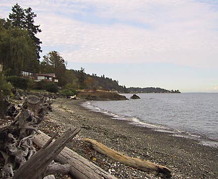 beach_view