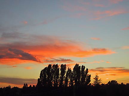 holden_sunset_2