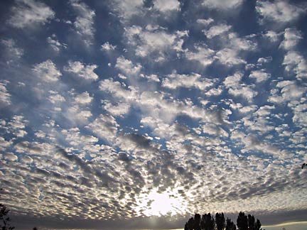 holden_sunset_a