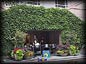 grotto_stage