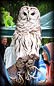 barred_owl_closeup