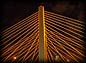 marina_bridge