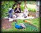 peacock_picnic