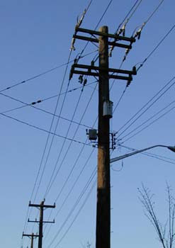 telephone poles