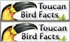 toucan facts